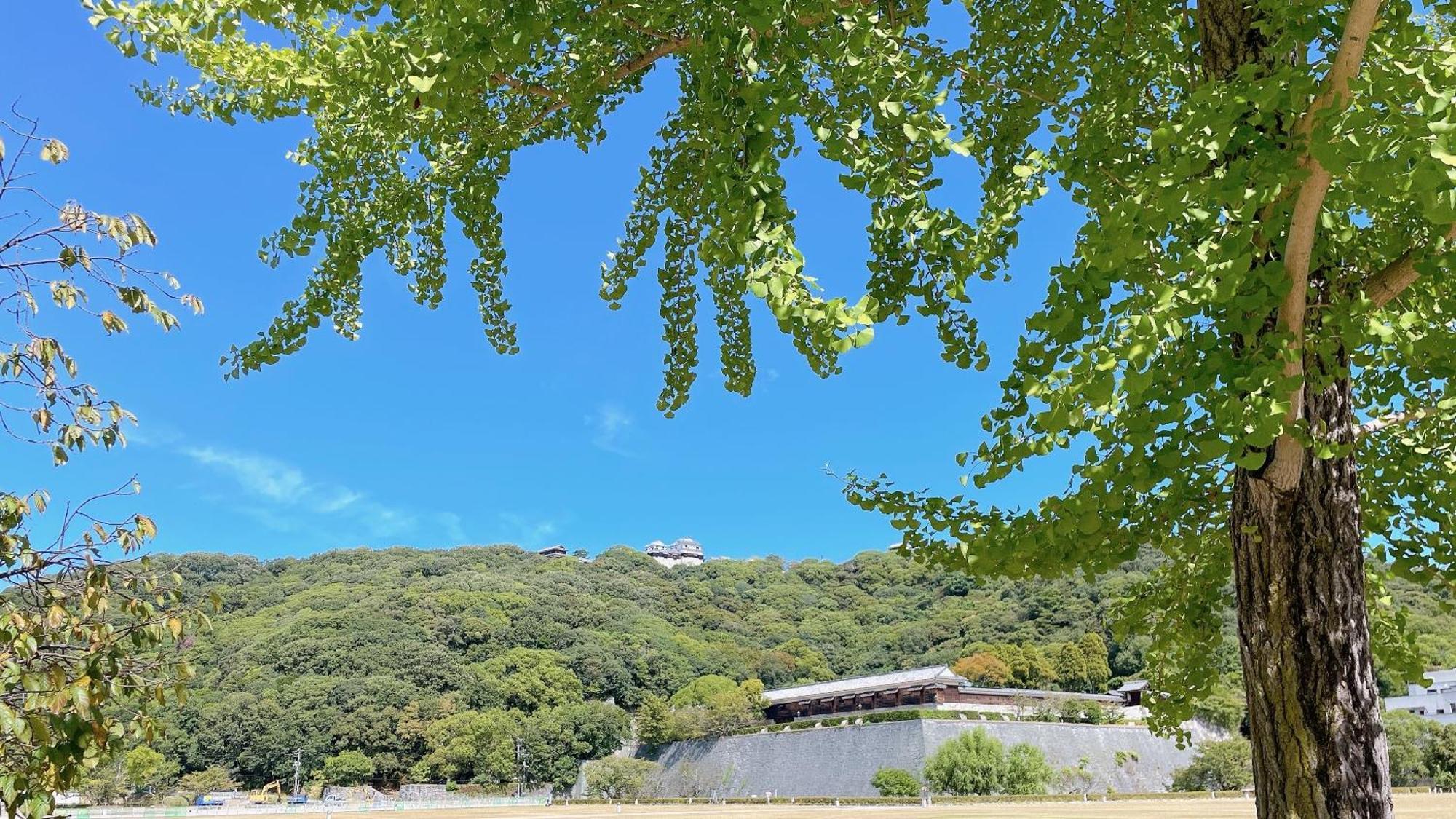 Ref Matsuyama City Station By Vessel Hotels 외부 사진